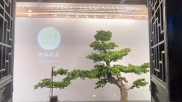 阿炳故居陈列馆
